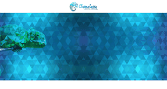 Desktop Screenshot of chameleondigitalmedia.com
